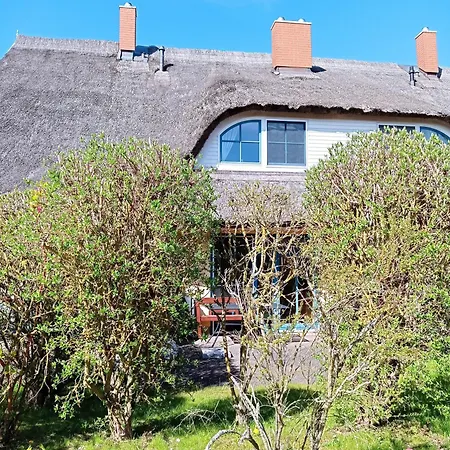 Reetdachhaus Malve 3 Tatil Evi